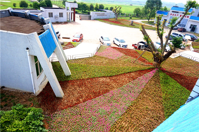 市目標督查室督查杰陽排水公司“花園式工廠”建設(shè)工作